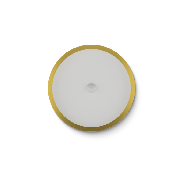 LED Ceiling Light RGBW Air Gold